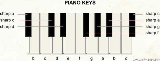 Piano keys  (Visual Dictionary)